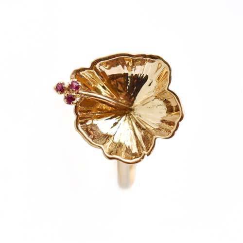 Lire la suite à propos de l’article HIBISCUS